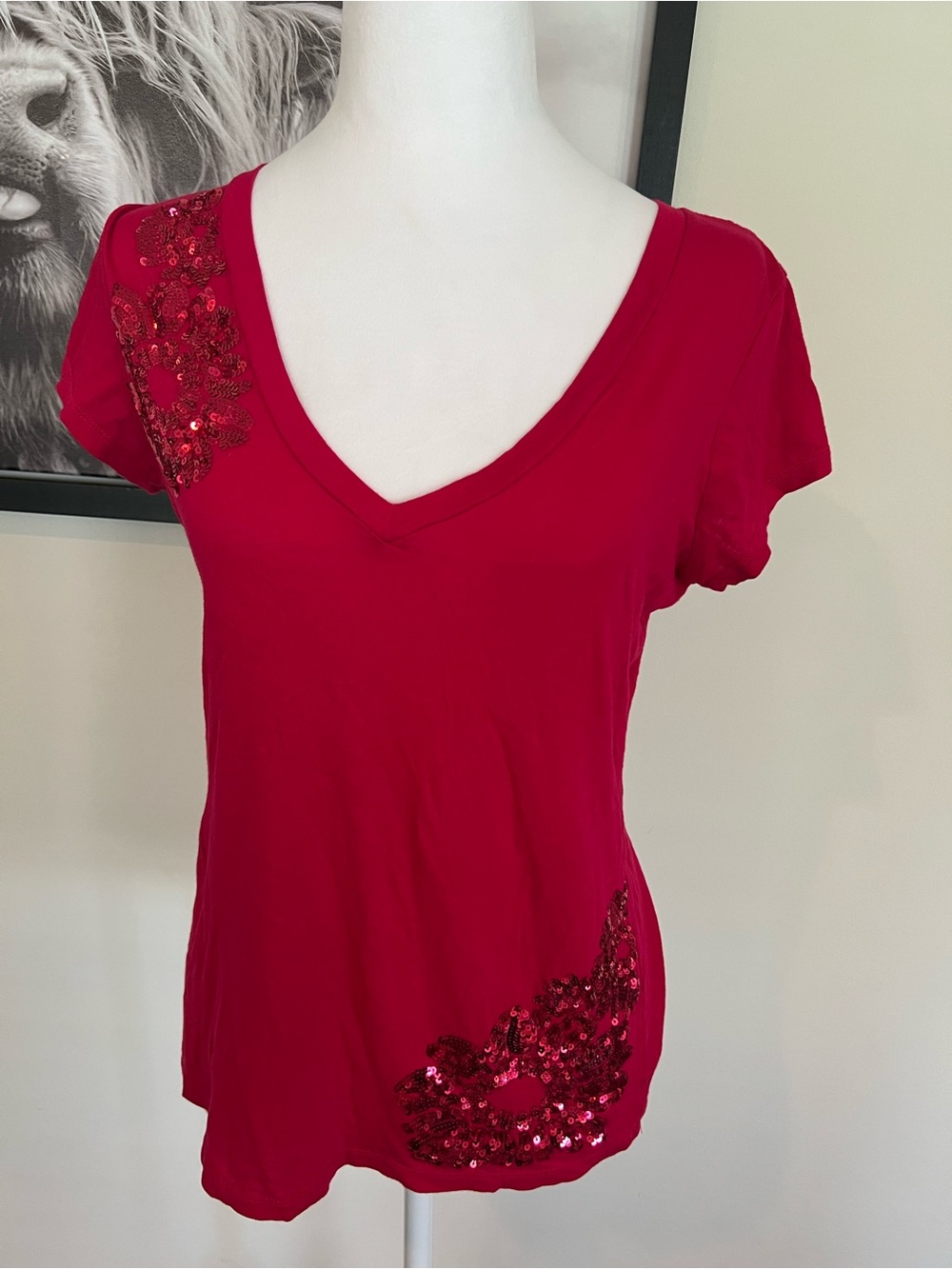 Express Red V-Neck Short Sleeve Sequin Accent Tee